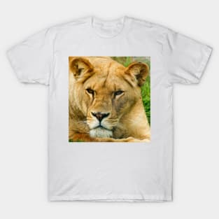 kli lioness T-Shirt